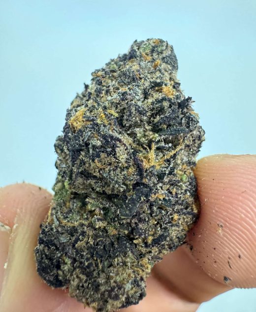 סולו א.ק.א (SOLO A.K.A) – אינדיקה T22/C4