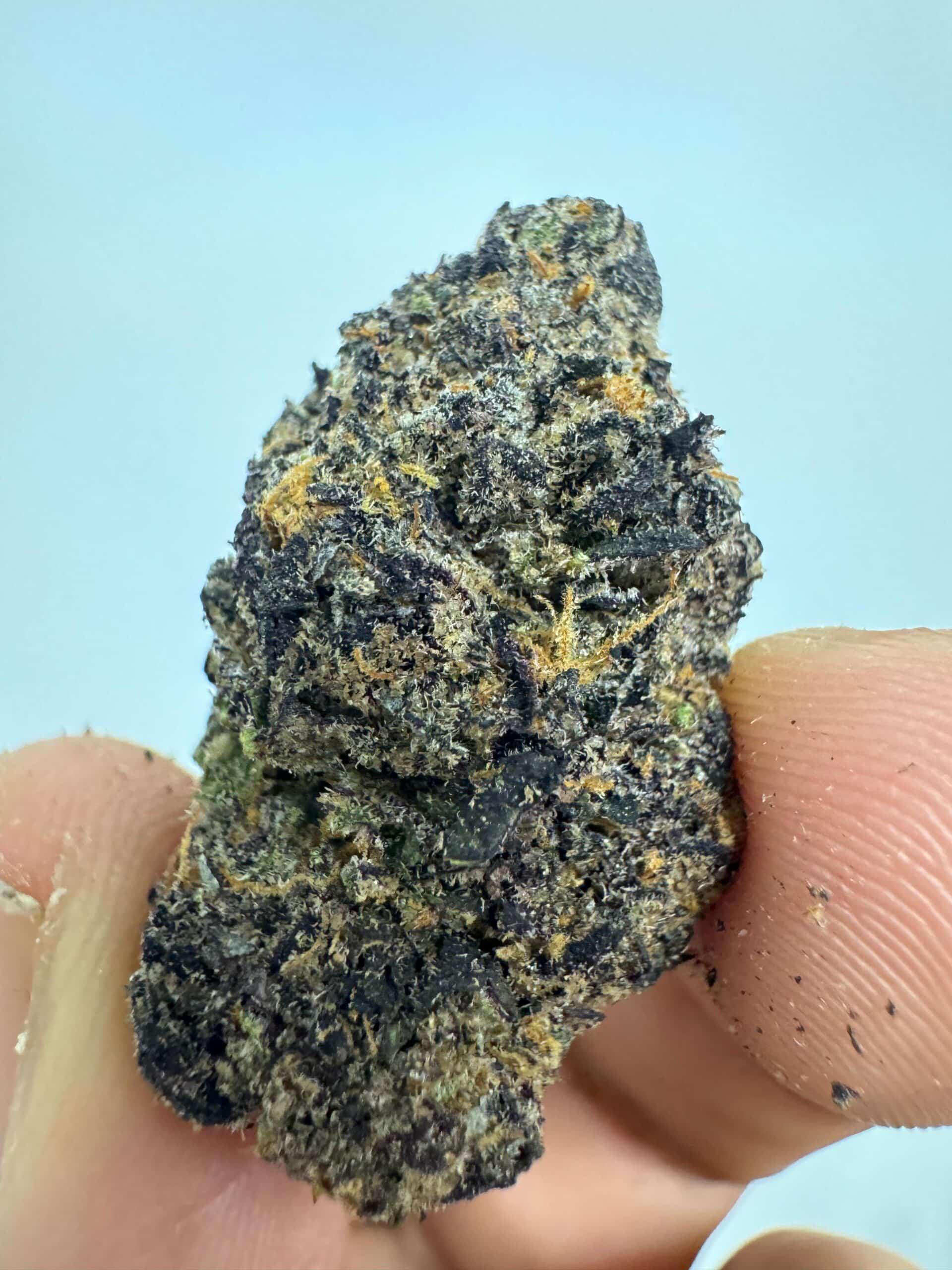 סולו א.ק.א (SOLO A.K.A) – אינדיקה T22/C4