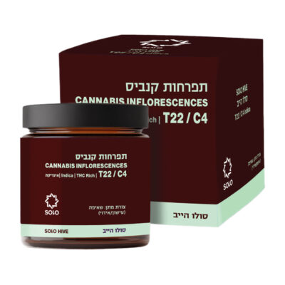 סולו הייב (SOLO Hive) – אינדיקה T22/C4