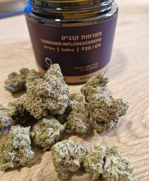 סולו טריניטי (SOLO Trinity) – אינדיקה T22/C4