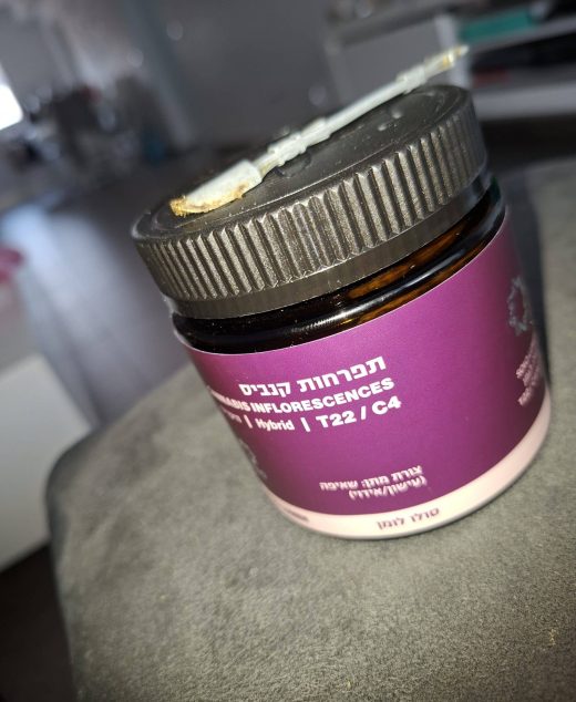 סולו לומן (SOLO Lumen) – היבריד T22/C4