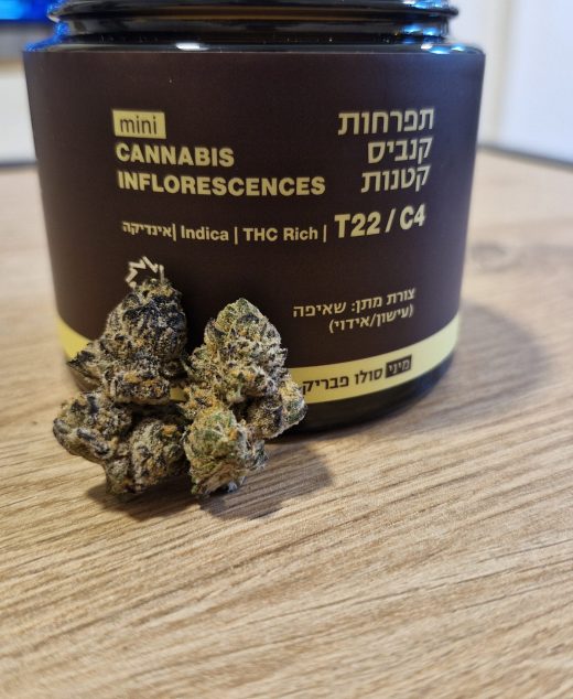 סולו פבריק מיני (SOLO Fabric Mini) – אינדיקה T22/C4