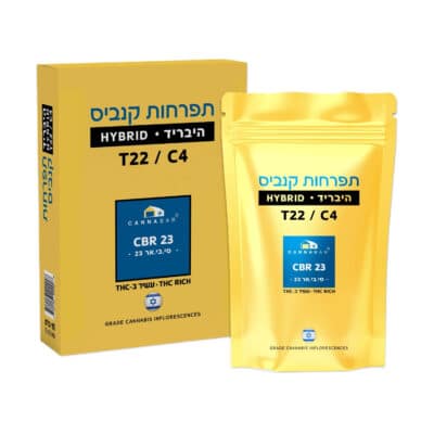 סי.בי.אר 23 (CBR 23) – היבריד T22/C4