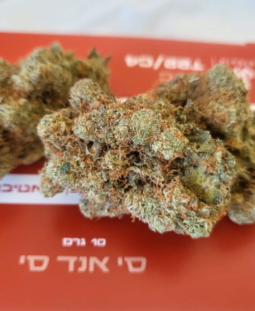 סי&סי (C&C) – סאטיבה T22/C4