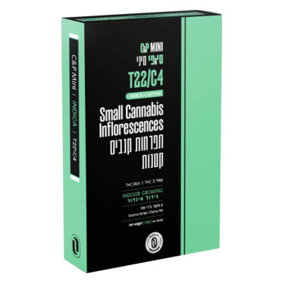 סי&פי מיני (C&P Mini) – אינדיקה T22/C4