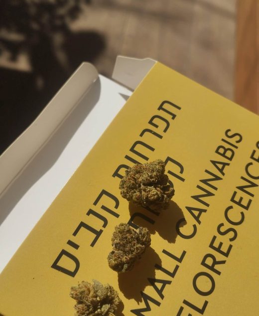 ספיר מיני (Sapir Mini) – אינדיקה T22/C4