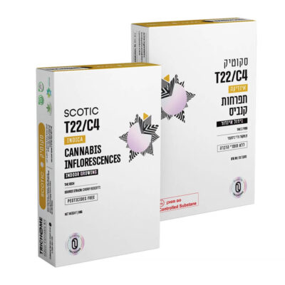 סקוטיק מיני (Scotic Mini) – אינדיקה T22/C4