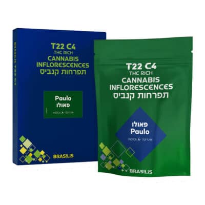 פאולו (Paulo) – אינדיקה T22/C4