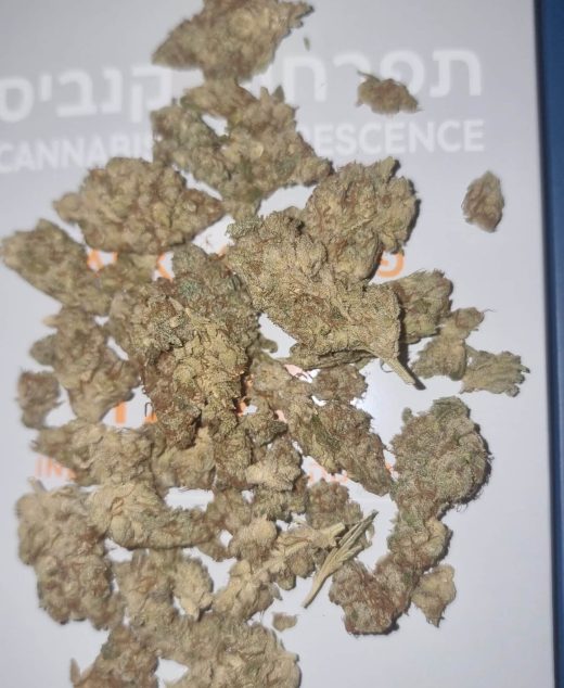 פאנק 47 (Fank 47) – אינדיקה T22/C4