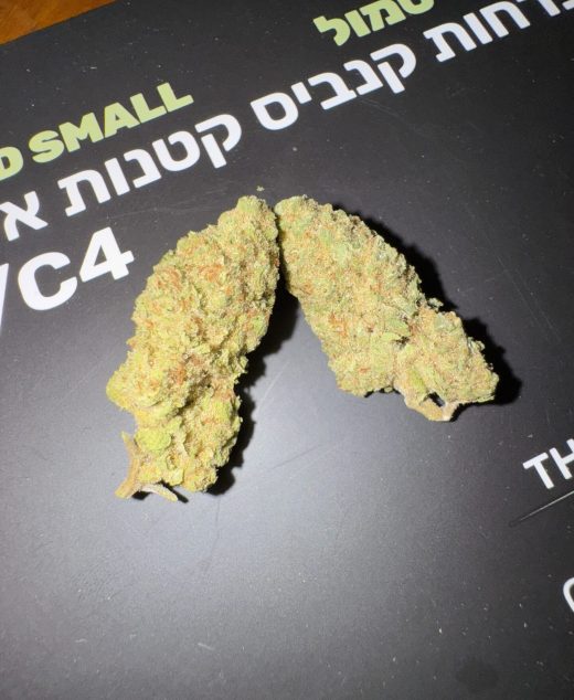 פרפל די סמול (Purple D Small) – אינדיקה T22/C4