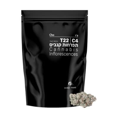 צ'ו (Cho) – היבריד T22/C4