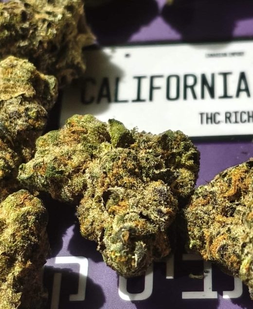 קליפורניה אוג'י מיני (California OG Mini) – היבריד T22/C4