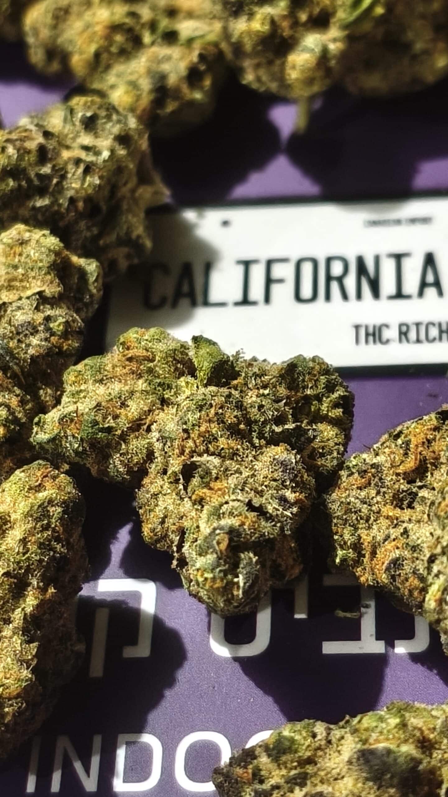 קליפורניה אוג'י מיני (California OG Mini) – היבריד T22/C4