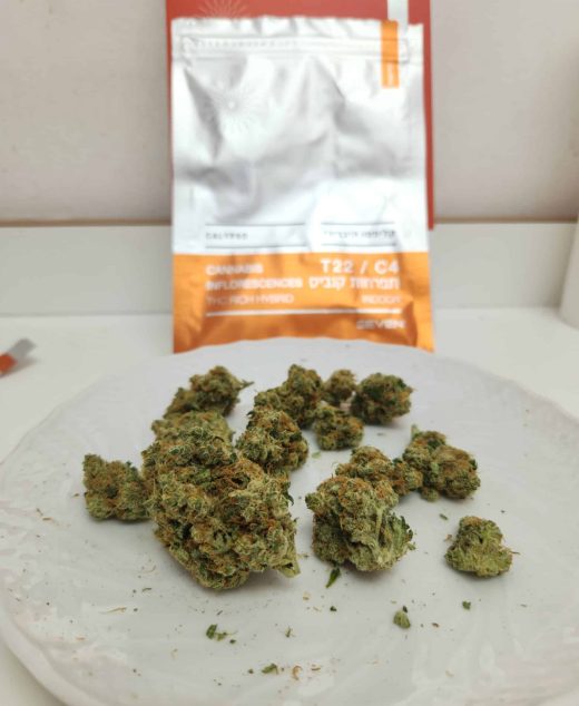 קליפסו (Calypso) – היבריד T22/C4