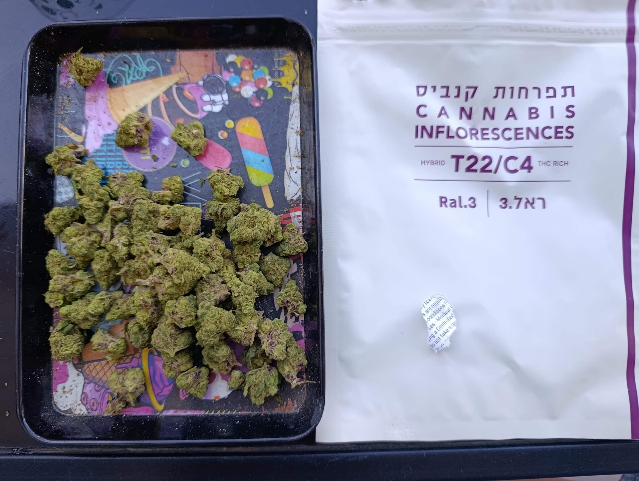 ראל.3 (Ral.3) – היבריד T22/C4