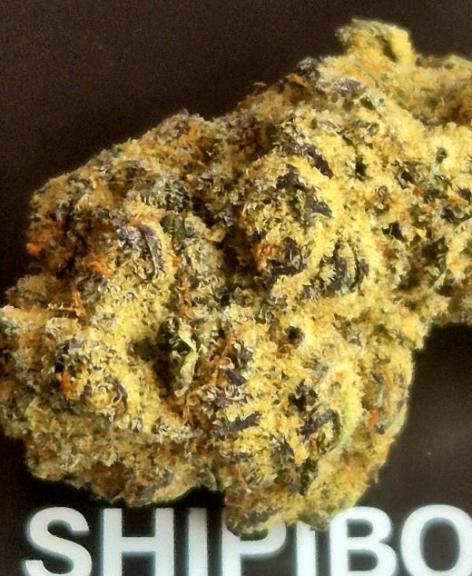 שיפיבו (Shipibo) – אינדיקה T22/C4